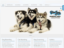 Tablet Screenshot of bluegumboarding.com.au